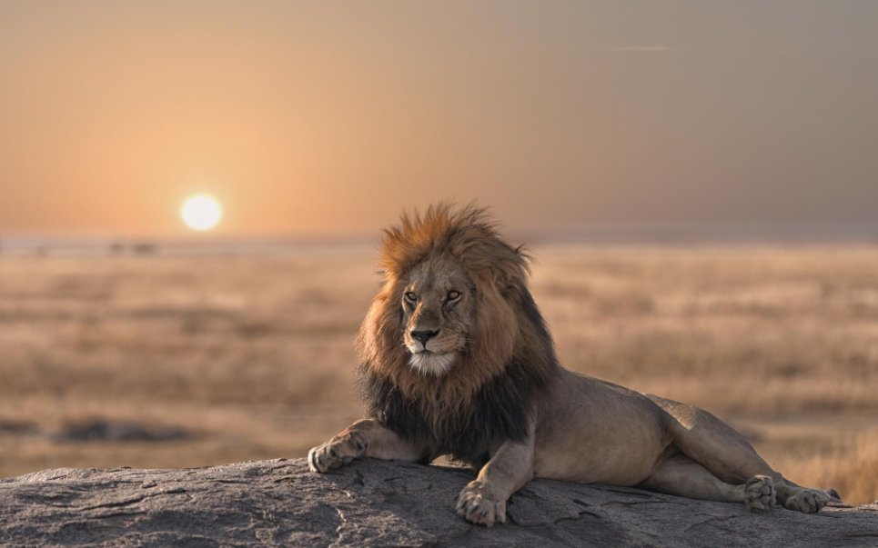 Build a custom multi-country East Africa itinerary